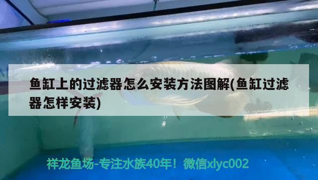 范县森森水族馆 全国水族馆企业名录 第2张