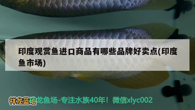 印度观赏鱼进口商品有哪些品牌好卖点(印度鱼市场) 观赏鱼进出口