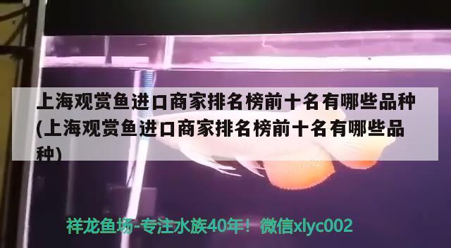 上海观赏鱼进口商家排名榜前十名有哪些品种(上海观赏鱼进口商家排名榜前十名有哪些品种) 观赏鱼进出口