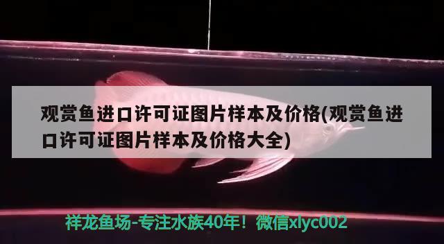 观赏鱼进口许可证图片样本及价格(观赏鱼进口许可证图片样本及价格大全) 观赏鱼进出口