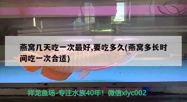 燕窝几天吃一次最好,要吃多久(燕窝多长时间吃一次合适) 马来西亚燕窝