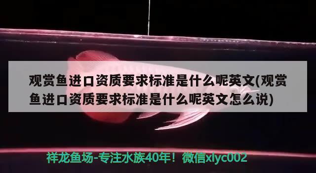 观赏鱼进口资质要求标准是什么呢英文(观赏鱼进口资质要求标准是什么呢英文怎么说) 观赏鱼进出口