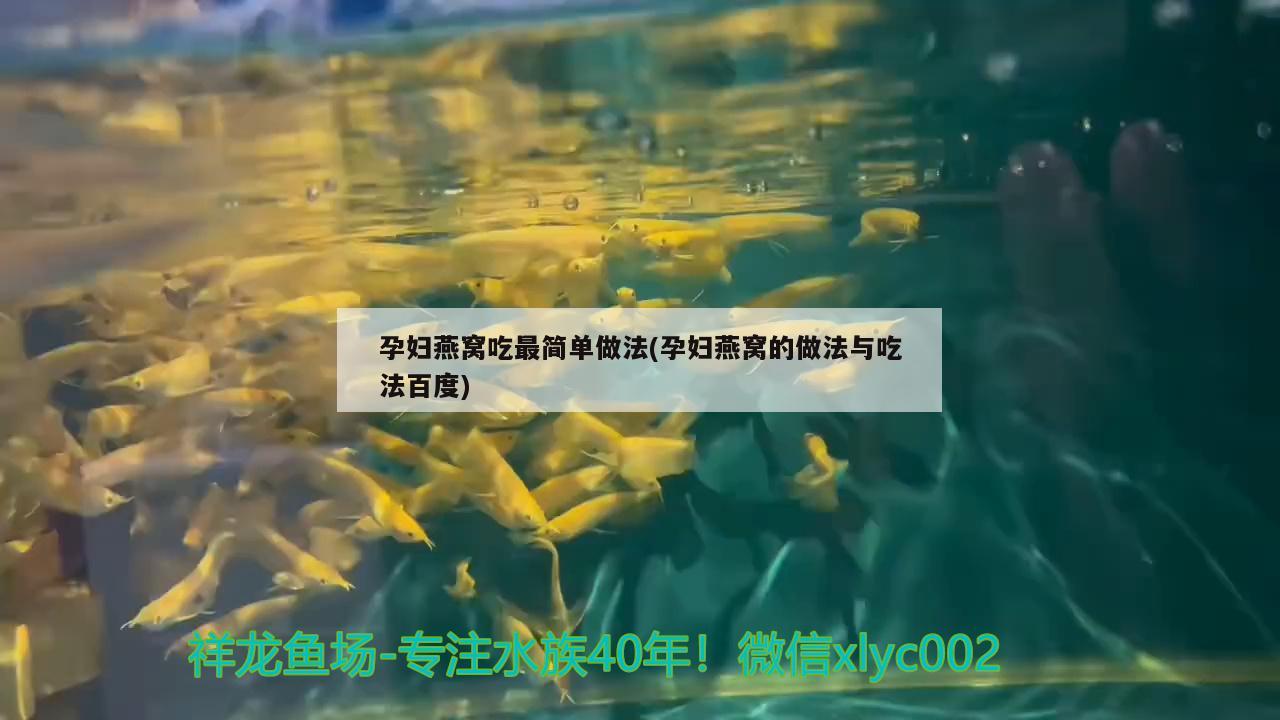 孕妇燕窝吃最简单做法(孕妇燕窝的做法与吃法百度)