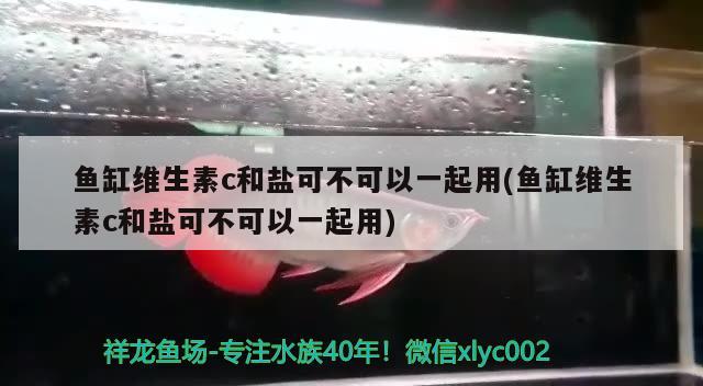 鱼缸维生素c和盐可不可以一起用(鱼缸维生素c和盐可不可以一起用) 祥龙进口元宝凤凰鱼