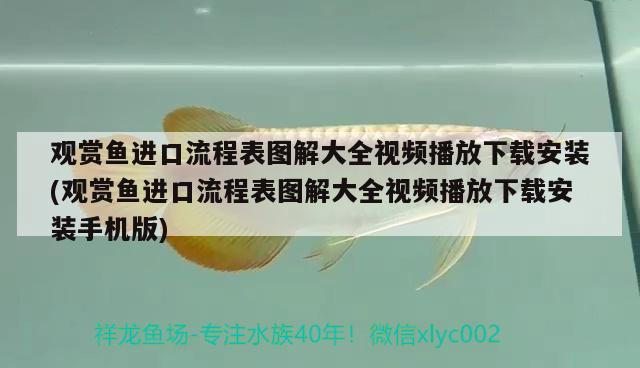 观赏鱼进口流程表图解大全视频播放下载安装(观赏鱼进口流程表图解大全视频播放下载安装手机版) 观赏鱼进出口