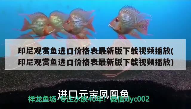 老师请问就是代词，介词，动词，名词这些统称是叫什么，田径运动的定义和分类是什么,