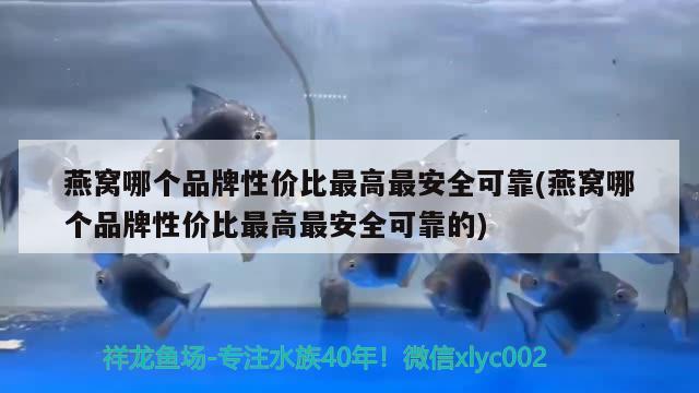 量大来谈 观赏鱼论坛 第2张