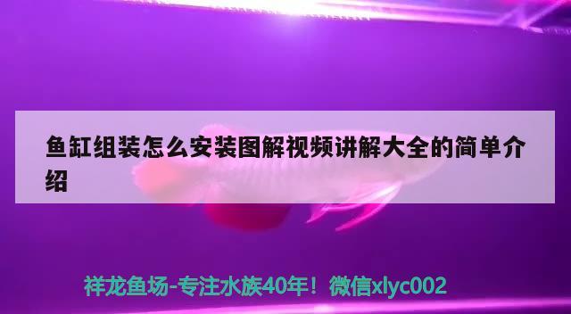 鱼饲料里有激素吗会死吗（鱼饲料喂多了鱼会死） 观赏鱼饲料 第1张