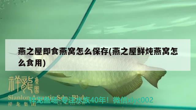 燕之屋即食燕窝怎么保存(燕之屋鲜炖燕窝怎么食用) 马来西亚燕窝