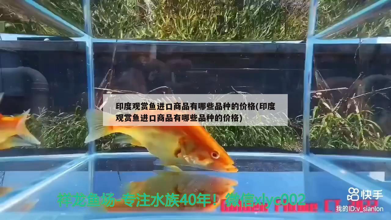 龙鱼进口手续流程图解视频教程大全(鲜龙鱼的做法)