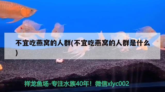 不宜吃燕窝的人群(不宜吃燕窝的人群是什么)