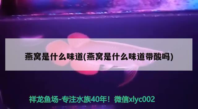 燕窝是什么味道(燕窝是什么味道带酸吗) 马来西亚燕窝