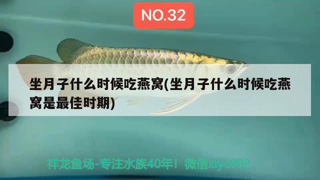 坐月子什么时候吃燕窝(坐月子什么时候吃燕窝是最佳时期) 马来西亚燕窝