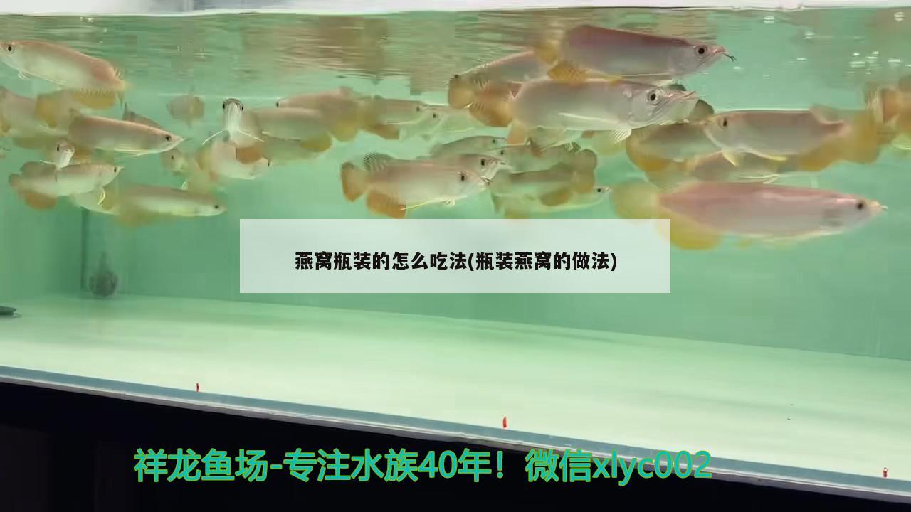 燕窝瓶装的怎么吃法(瓶装燕窝的做法)