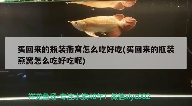 买回来的瓶装燕窝怎么吃好吃(买回来的瓶装燕窝怎么吃好吃呢)