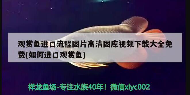 鱼缸灯怎么调颜色深浅图解（鱼缸灯怎么调节变化） 观赏鱼水族批发市场 第2张