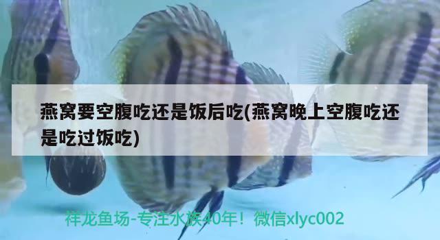 燕窝要空腹吃还是饭后吃(燕窝晚上空腹吃还是吃过饭吃) 马来西亚燕窝