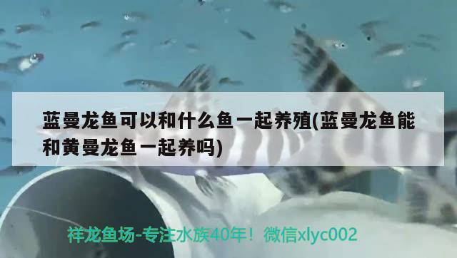 邯郸二手鱼缸低价出售电话号码是多少：邯郸卖鱼缸 广州水族批发市场 第2张