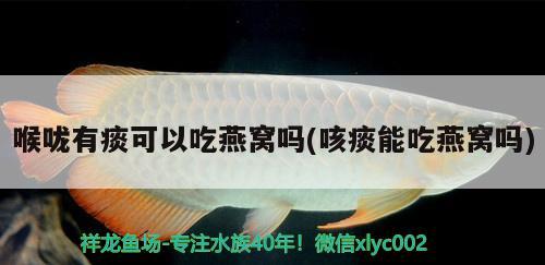 喉咙有痰可以吃燕窝吗(咳痰能吃燕窝吗) 马来西亚燕窝