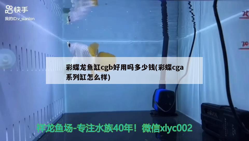 彩蝶龙鱼缸cgb好用吗多少钱(彩蝶cga系列缸怎么样) 朱巴利鱼