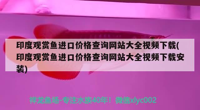 印度观赏鱼进口价格查询网站大全视频下载(印度观赏鱼进口价格查询网站大全视频下载安装)