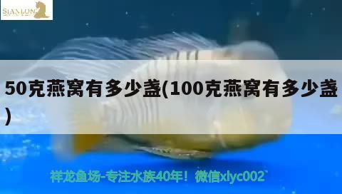 50克燕窝有多少盏(100克燕窝有多少盏) 马来西亚燕窝