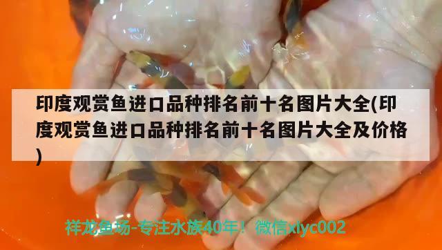 求视频:一个圆柱形围墙,它的直径约为61.5米,它底面积的周长和面积分别约是多少，你家里都养些什么观赏鱼 养鱼的好处 第3张