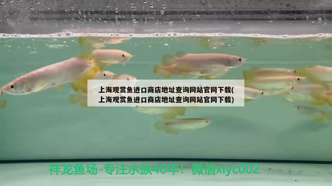 上海观赏鱼进口商店地址查询网站官网下载(上海观赏鱼进口商店地址查询网站官网下载) 观赏鱼进出口