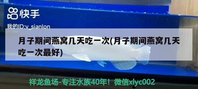 哈尔滨鱼缸定制厂家地址在哪儿（哈尔滨鱼缸维修电话） 祥龙水族医院 第1张