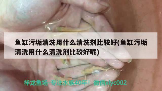 鱼缸污垢清洗用什么清洗剂比较好(鱼缸污垢清洗用什么清洗剂比较好呢) 泰庞海鲢鱼