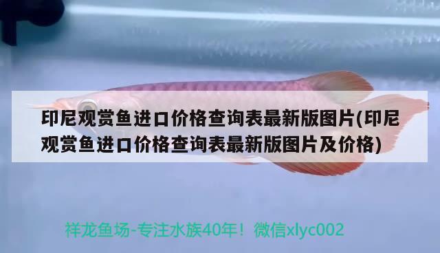 印尼观赏鱼进口价格查询表最新版图片(印尼观赏鱼进口价格查询表最新版图片及价格) 观赏鱼进出口