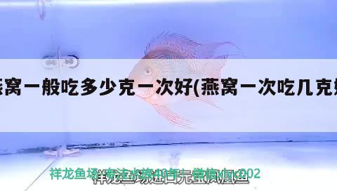 三湖慈鲷红花孔雀最大多少：三湖慈鲷孔雀红珊瑚 观赏鱼 第1张