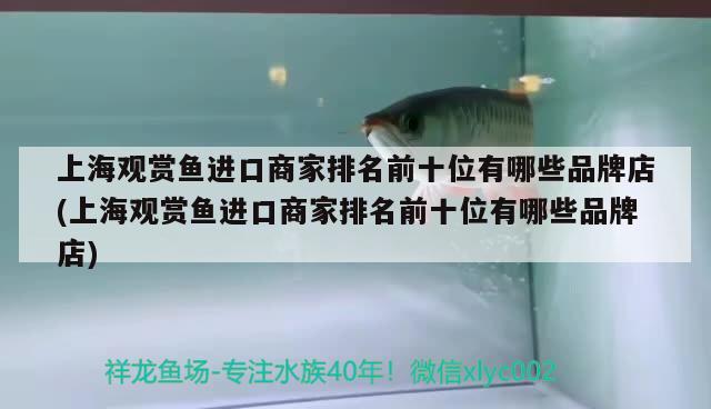上海观赏鱼进口商家排名前十位有哪些品牌店(上海观赏鱼进口商家排名前十位有哪些品牌店) 观赏鱼进出口