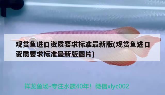 观赏鱼进口资质要求标准最新版(观赏鱼进口资质要求标准最新版图片) 观赏鱼进出口