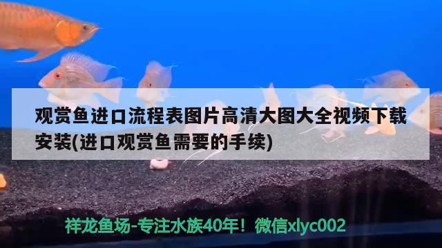 观赏鱼进口流程表图片高清大图大全视频下载安装(进口观赏鱼需要的手续) 观赏鱼进出口