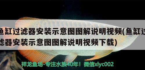 鱼缸过滤器安装示意图图解说明视频(鱼缸过滤器安装示意图图解说明视频下载)