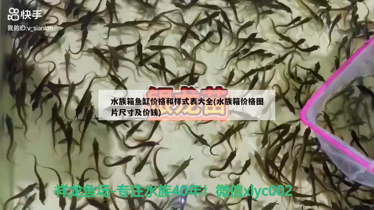 水族箱鱼缸价格和样式表大全(水族箱价格图片尺寸及价钱) 鱼缸/水族箱