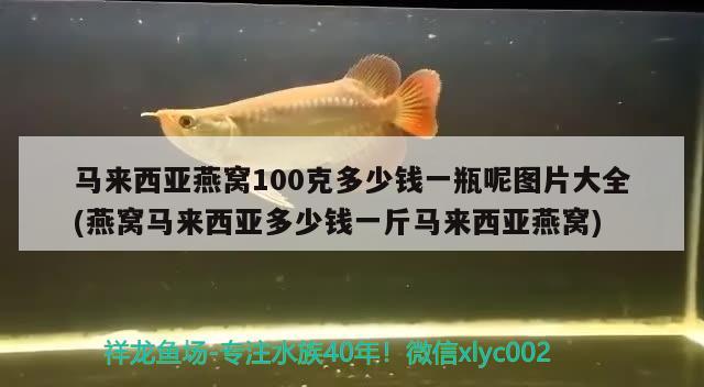 马来西亚燕窝100克多少钱一瓶呢图片大全(燕窝马来西亚多少钱一斤马来西亚燕窝) 马来西亚燕窝 第1张