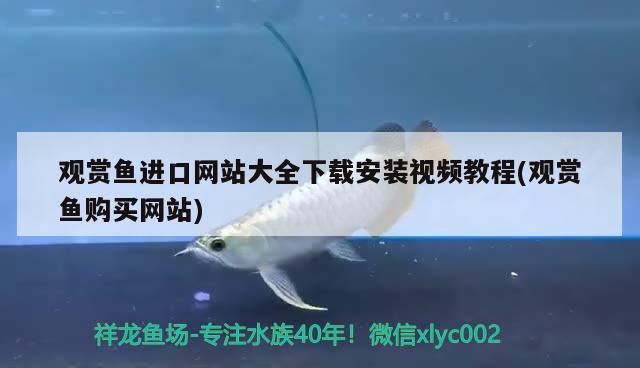 是印尼燕窝好还是马来西亚燕窝好呢视频(印尼燕窝与马来西亚燕窝哪个好) 马来西亚燕窝