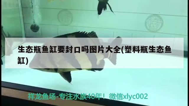 生态瓶鱼缸要封口吗图片大全(塑料瓶生态鱼缸) 金三间鱼