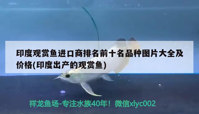 鱼缸清洗维护搬运：保持鱼缸清洁，确保鱼缸健康成长，鱼缸清洗维护搬运