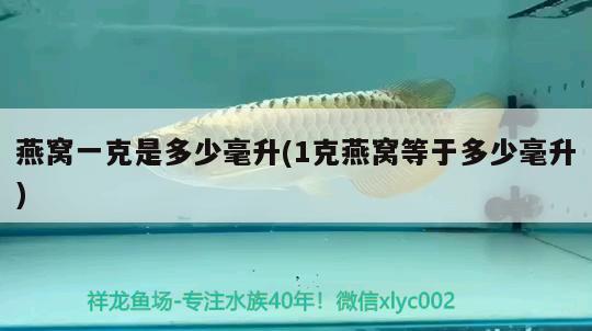 临沂市兰山区启泽水族馆，临沂市兰山区启泽水族馆电话 全国水族馆企业名录 第3张