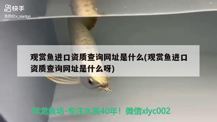 观赏鱼进口资质查询网址是什么(观赏鱼进口资质查询网址是什么呀)