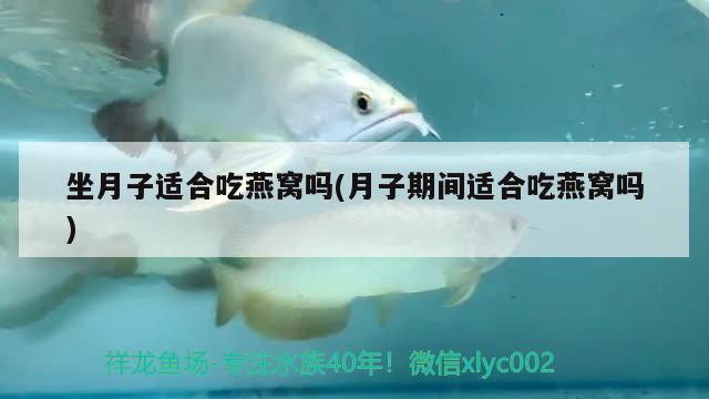 北京刘德银观赏鱼店 全国水族馆企业名录