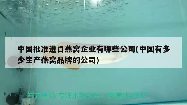 中国批准进口燕窝企业有哪些公司(中国有多少生产燕窝品牌的公司) 马来西亚燕窝