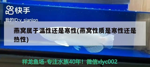 燕窝属于温性还是寒性(燕窝性质是寒性还是热性) 马来西亚燕窝