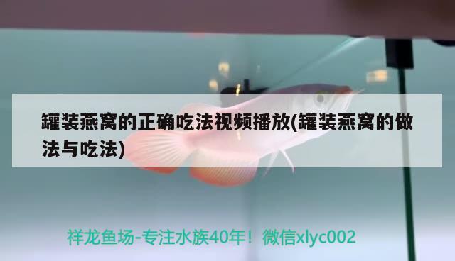 梅州市龙氏观赏鱼养殖有限公司地址电话（梅州市龙氏观赏鱼养殖有限公司地址电话号码） 观赏鱼 第4张