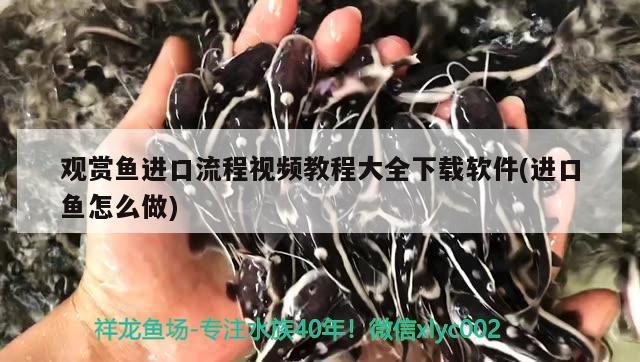 受带猫尾巴说难受：受带猫尾巴说难受动漫 猫猫 第3张