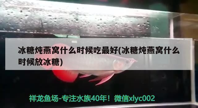 冰糖炖燕窝什么时候吃最好(冰糖炖燕窝什么时候放冰糖) 马来西亚燕窝