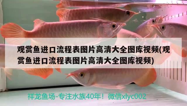 平顶山市卖鱼缸的地方在哪里呀最近有没有：深圳安吉尔饮水机哪里能买到